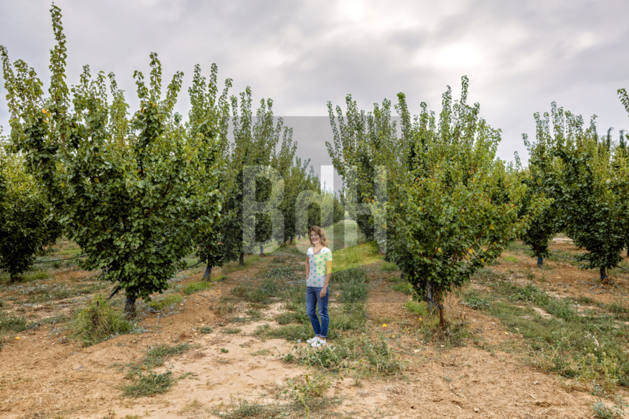 Shoot photo du 19 septembre 2018 à Baixas (66)