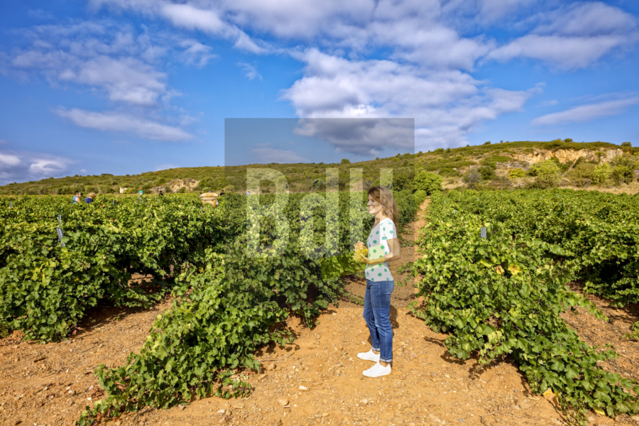 Shoot photo du 19 septembre 2018 à Baixas (66)