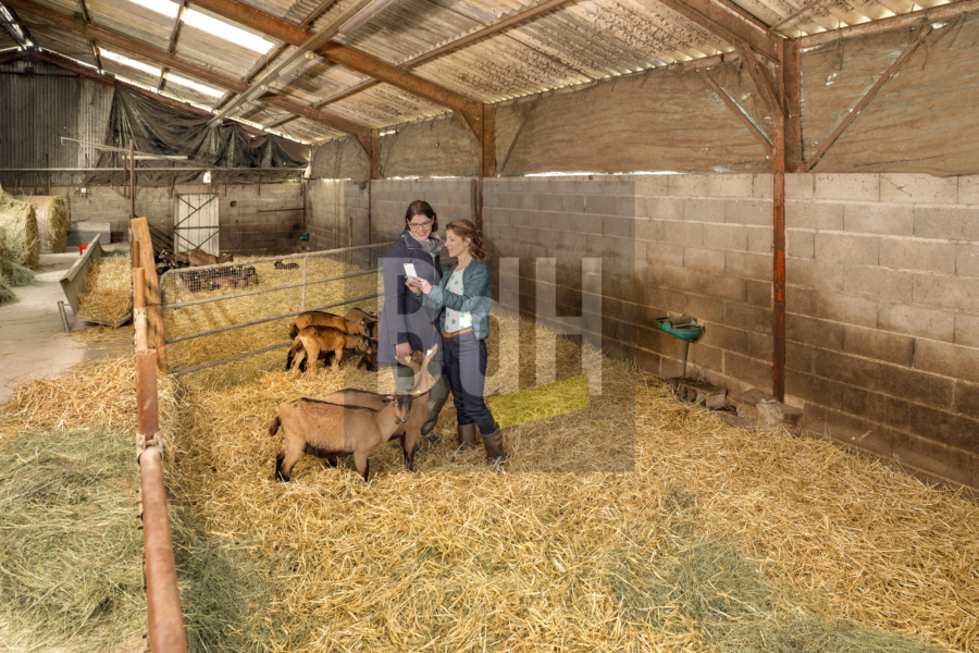 Shoot photo du 17 janvier 2019 à Châtillon-sur-Cher (41)