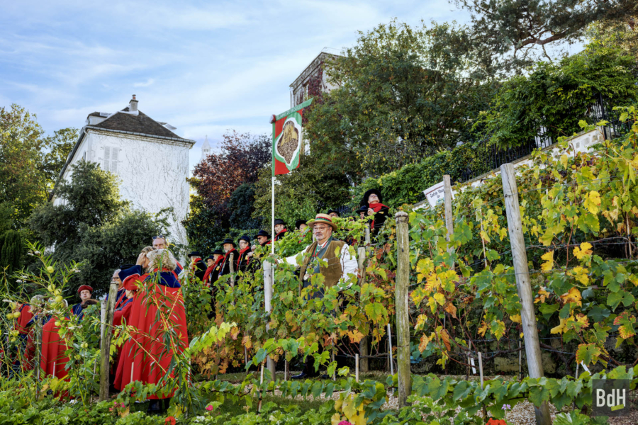 90ème anniversaire de 'La Fête des Vendanges de Montmartre' le 14 Octobre 2023. Membres de confrérie et du gouvernement dans la vigne du Clos Montmartre